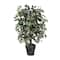 4ft. Artificial Capensia Bush with Rattan Basket